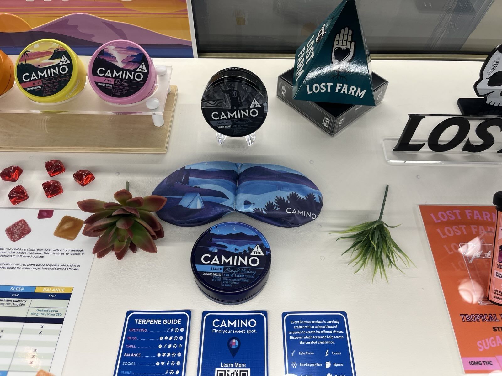 Medical Cannabis Edibles for the Sweet Tooth